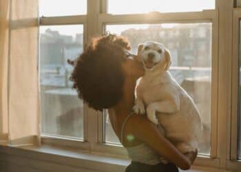 pexels-samson-katt-étudiante qui embrasse son chien - Les qualités et les défauts de ton signe astrologique