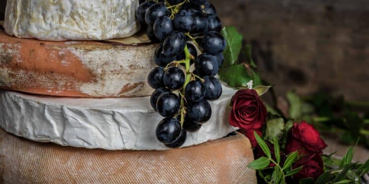 unsplash - jez-timms-pile de camemberts avec du raisin - Le secret pour un camembert au four délicieux