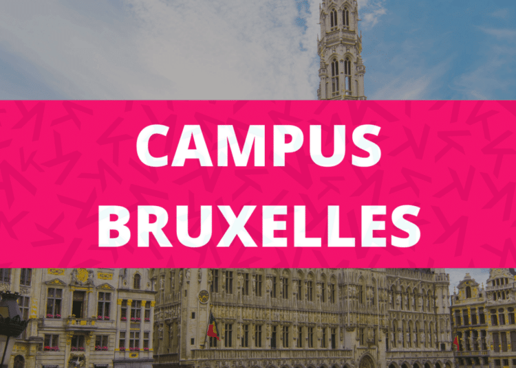 Première année d’études à Louvain La Neuve, comment s’y retrouver ?