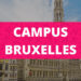 Première année d’études à Louvain La Neuve, comment s’y retrouver ?