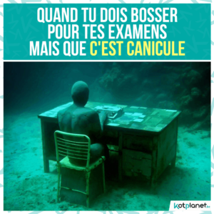 meme etudier pendant canicule