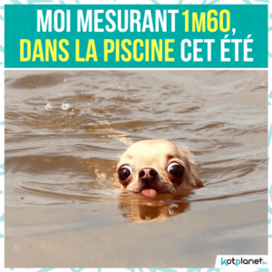 meme mesurer 1m60 piscine