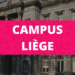 Première année d’études à Liège, comment s’y retrouver ?
