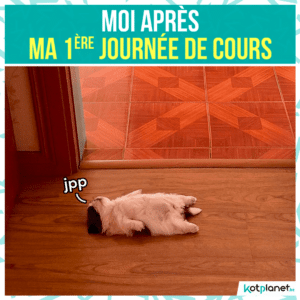 meme moi apres 1ere journee de cours