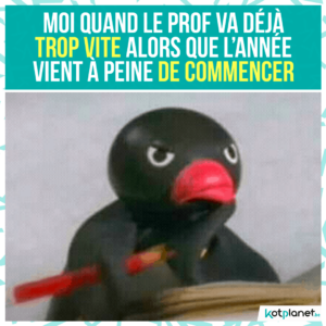 meme prof va deja trop vite