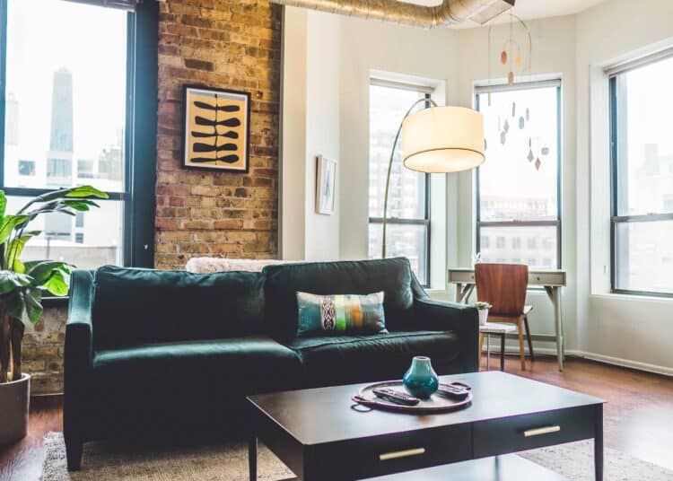 pexels-chait-goli-salon avec fauteuil table et plante - 4 conseils pour un premier appart