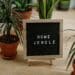 pexels-cottonbro-plantes - accessoires pour les fans de plantes