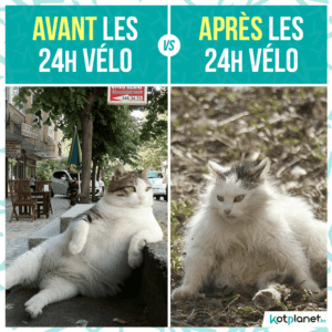 meme avant vs apres 24h velo