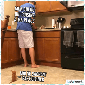 meme coloc cuisine pour moi