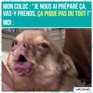 meme coloc fait truc pas epice