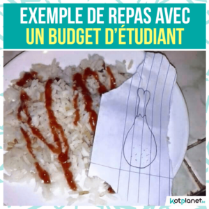 meme repas avec budget etudiant