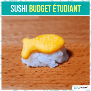 meme sushi etudiant