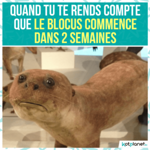meme blocus dans 2 semaines