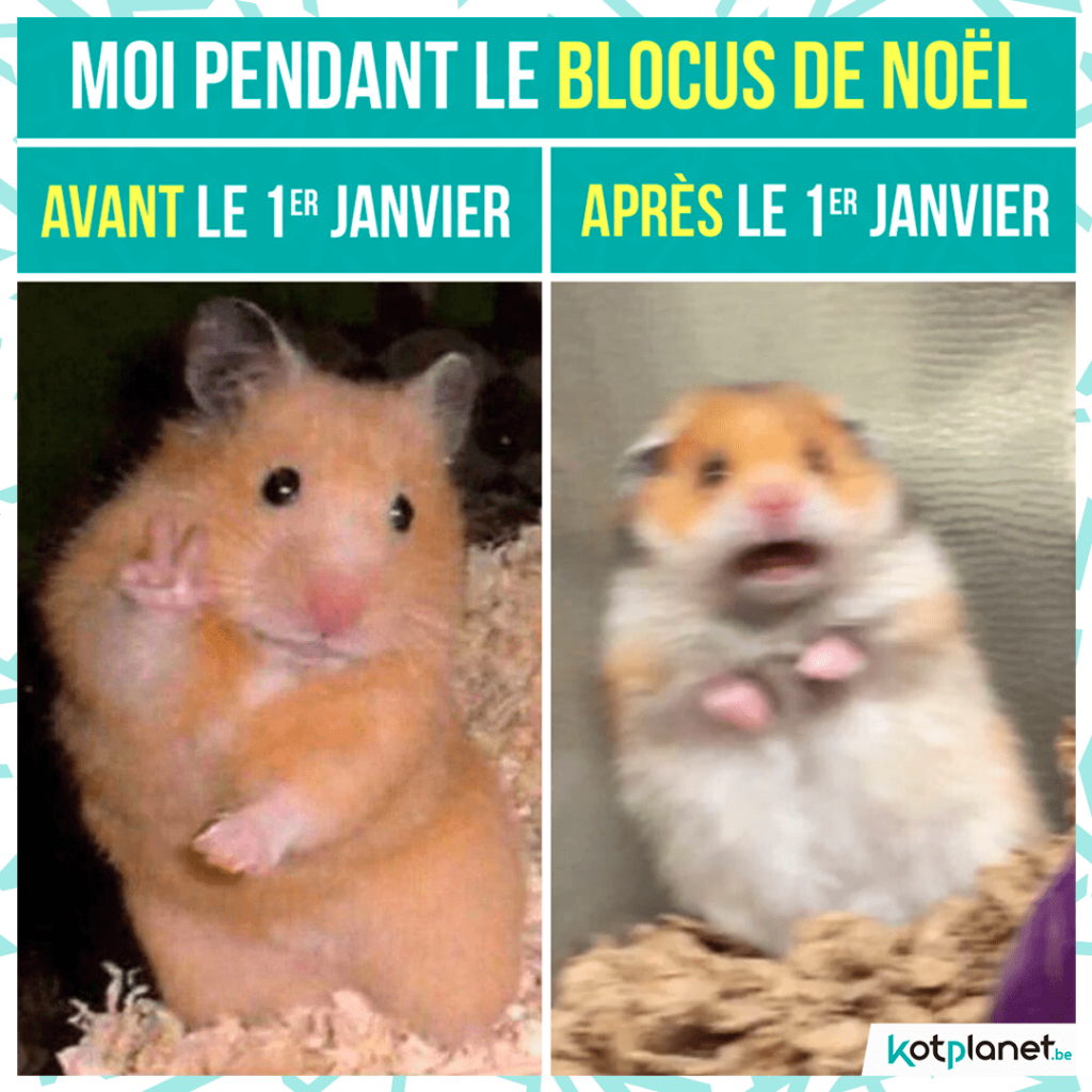 meme avant vs apres blocus noel