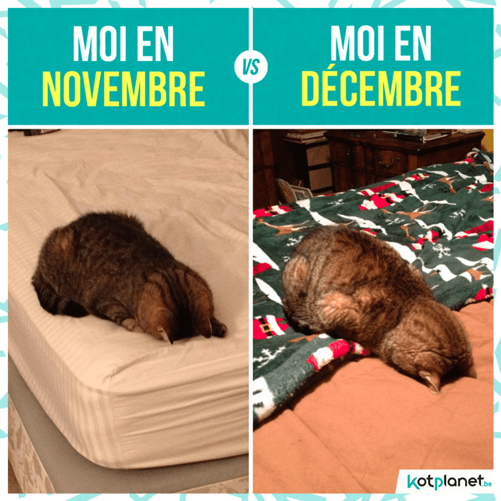 meme novembre vs decembre