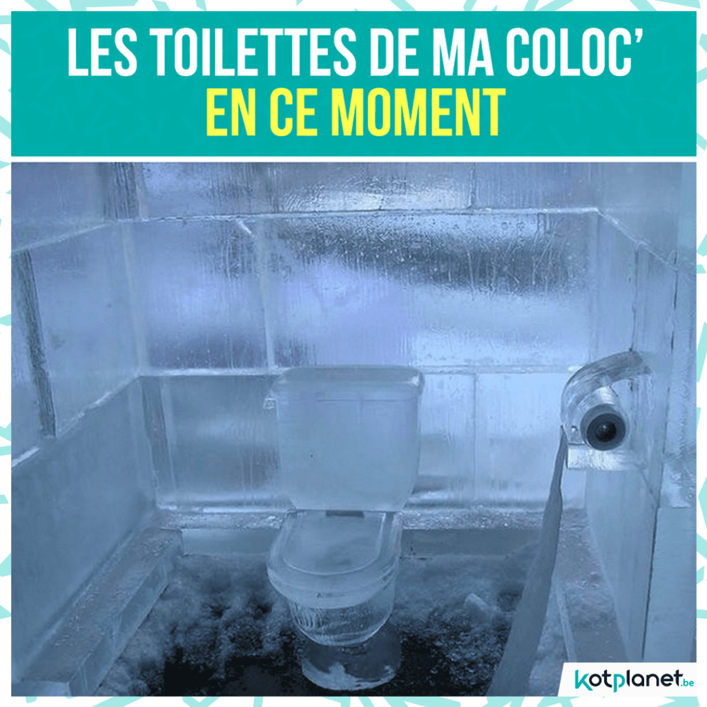 meme toilettes coloc hiver