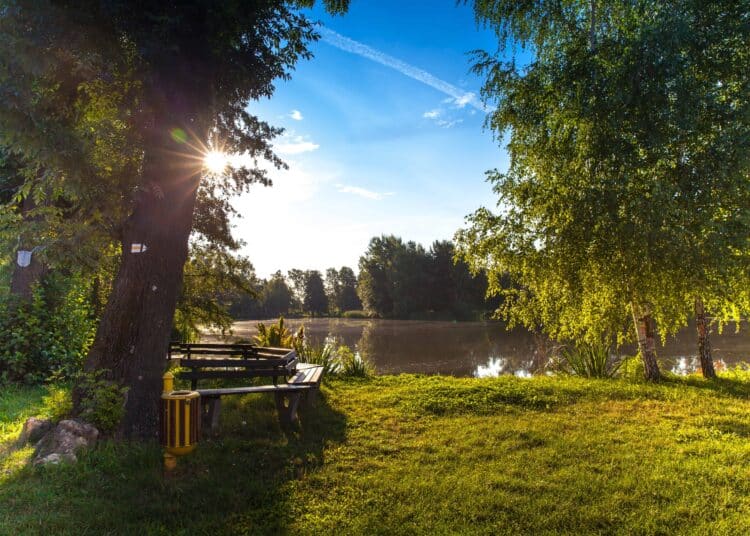 pexels-torsten-kellermann-nature parc ensoleillé - 3 balades dans un parc pour profiter de l'automne