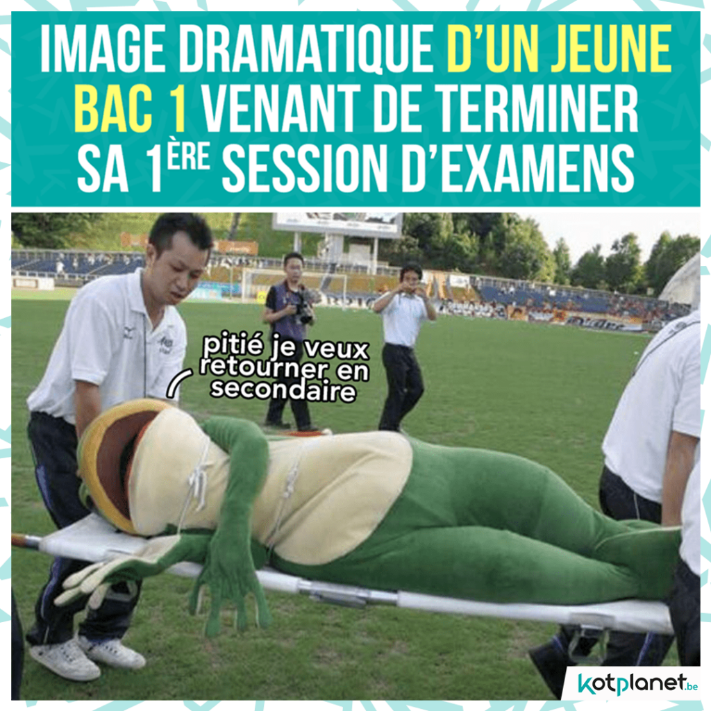 meme bac 1 ayant termine sa session examens