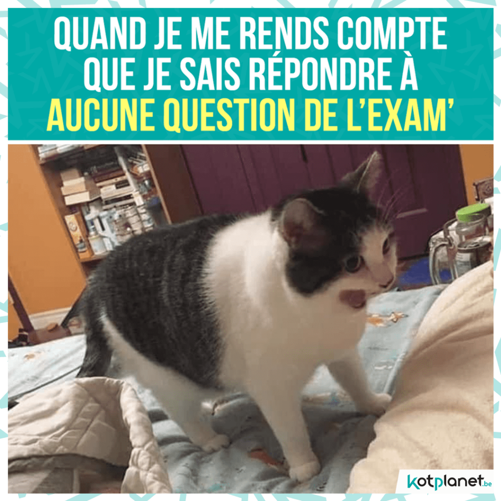 meme se rendre compte sais repondre a aucune question de examen