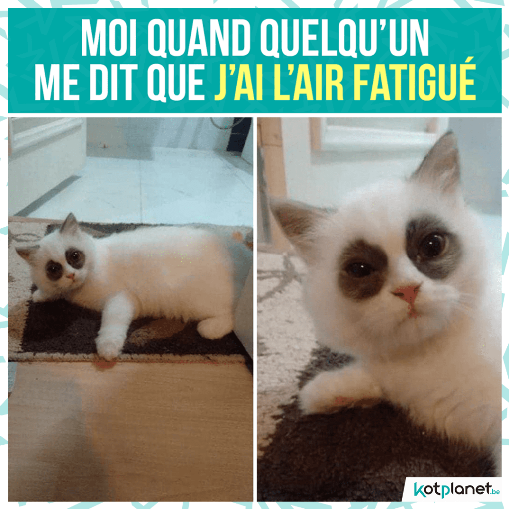 meme air fatigue