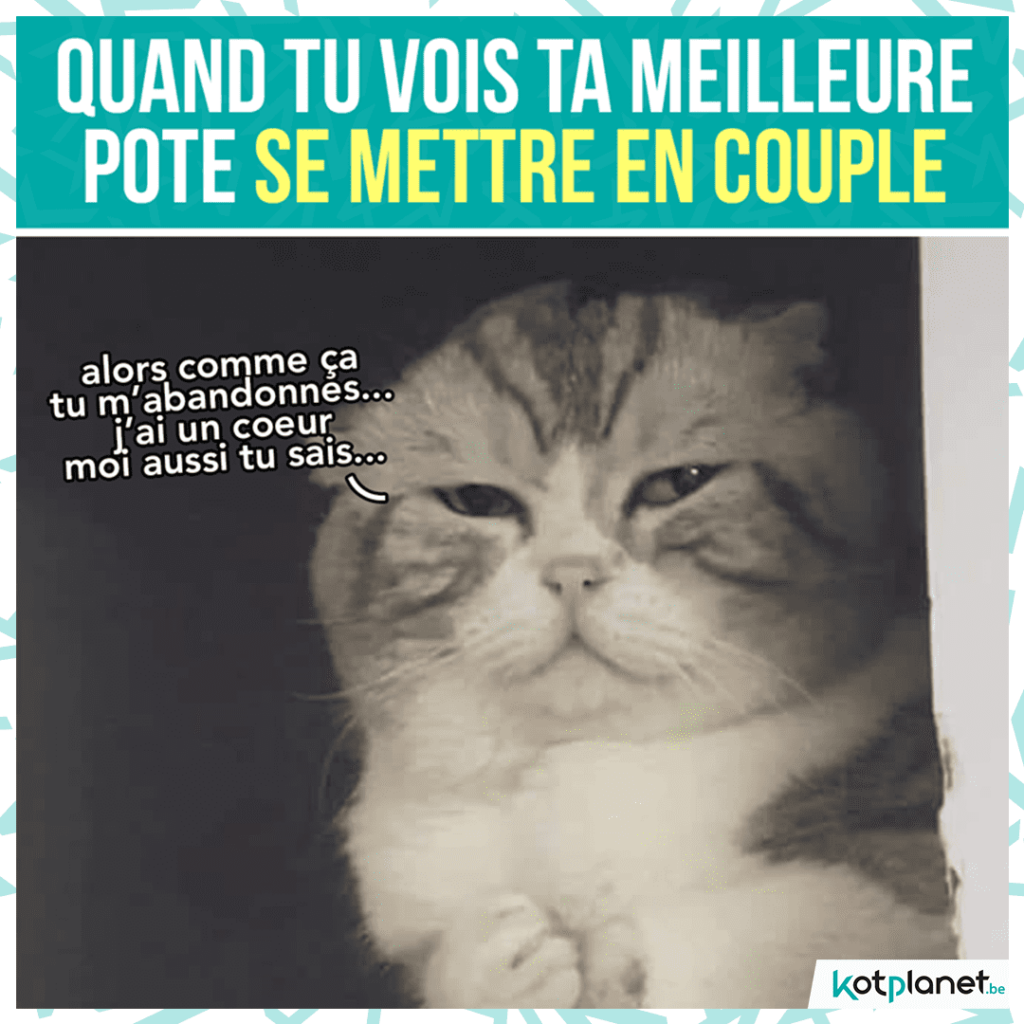 meme meilleure pote se met en couple