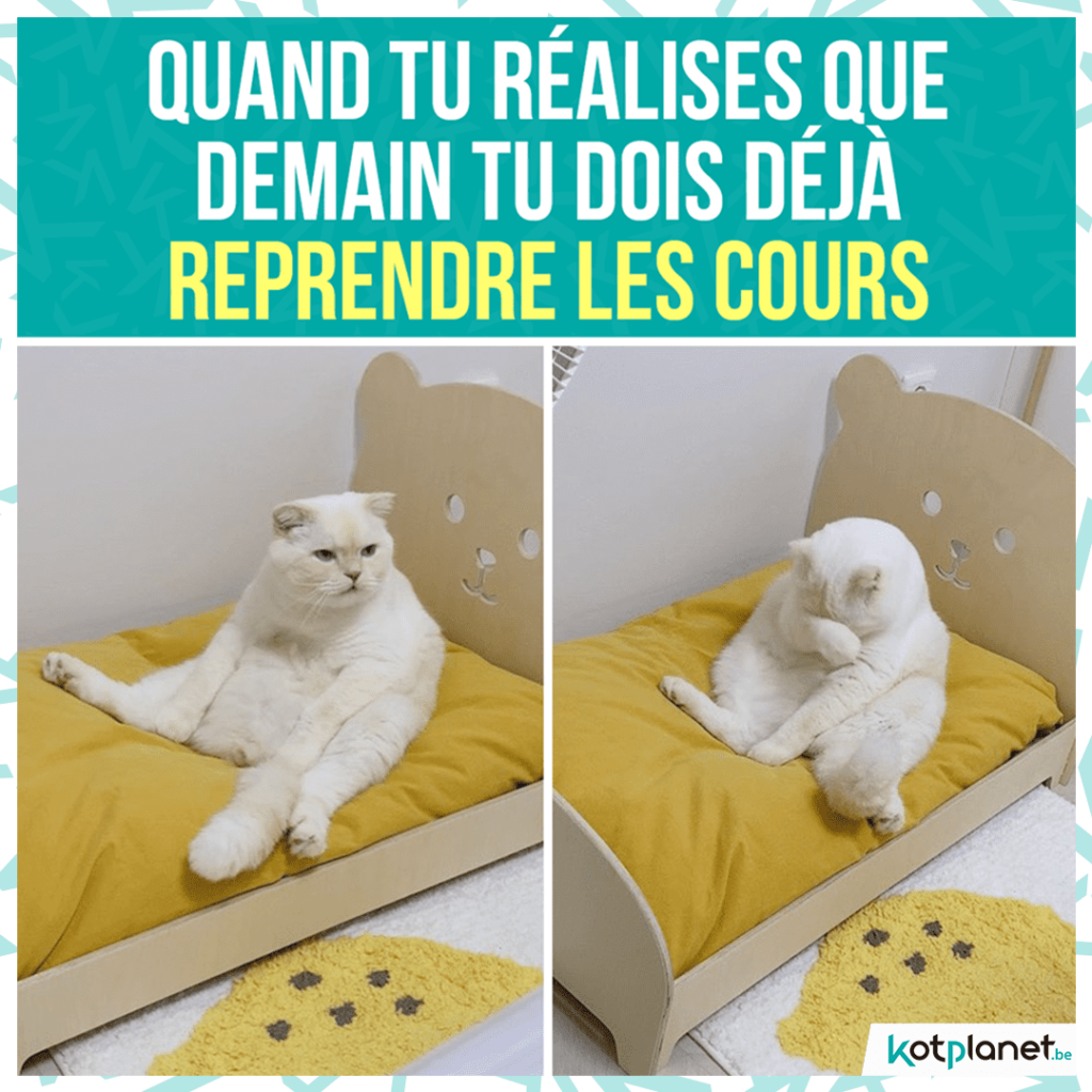 meme reprendre les cours demain