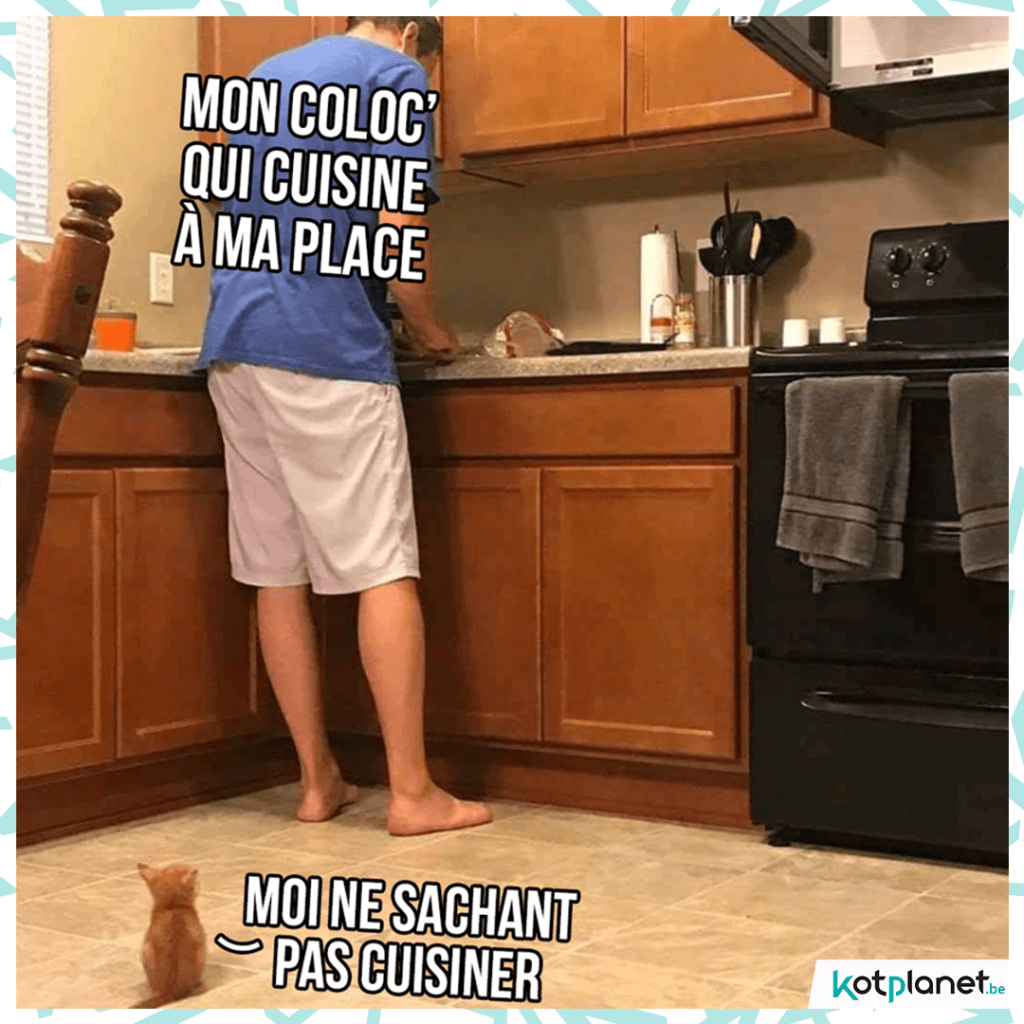 meme coloc qui cuisine