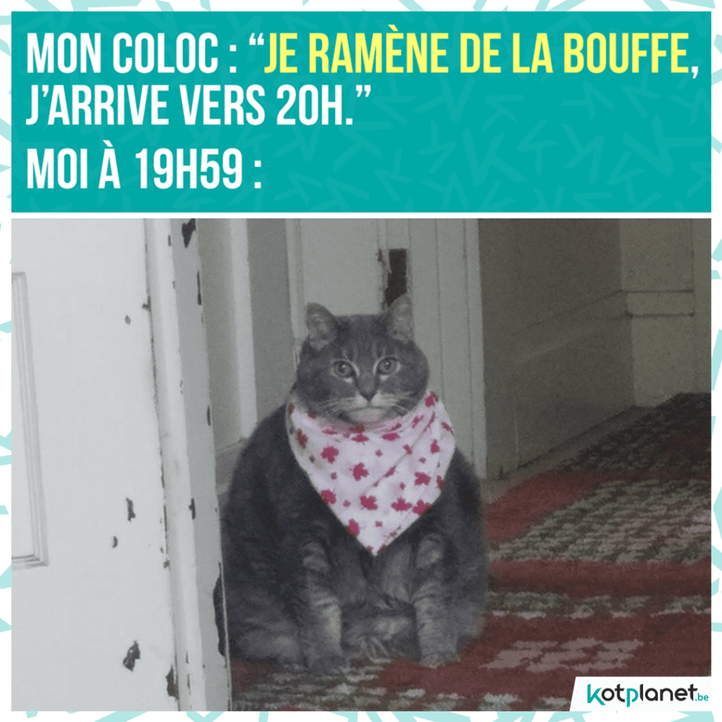 meme coloc ramene bouffe