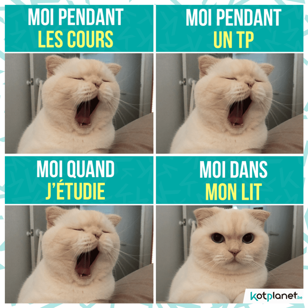 meme tout le temps baille