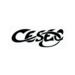 Cercle à LLN : Le Cesec