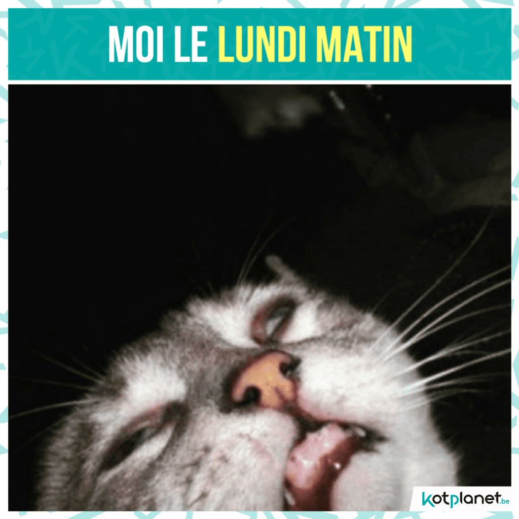 meme-moi-lundi-matin