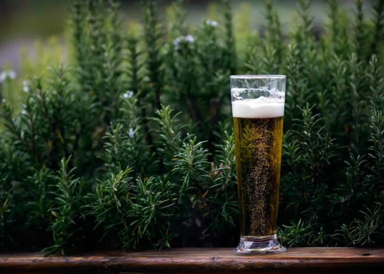 pexels-michelle-riach-bière dans un buisson - fini les oeufs, Marie Pontoise à choici la bière