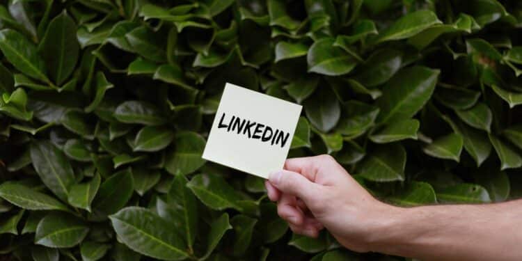 pexels-oleg-magni - feuille linkedin - Pourquoi être sur LinkedIn quand on est étudiant