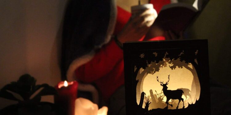 Étudiant entrepreneur belge : la start-up Gibbidy et ses boxes déco !