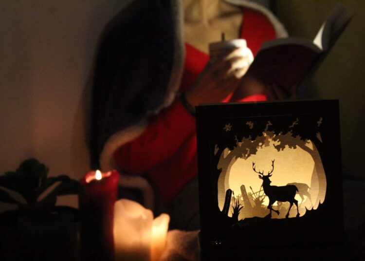 Étudiant entrepreneur belge : la start-up Gibbidy et ses boxes déco !