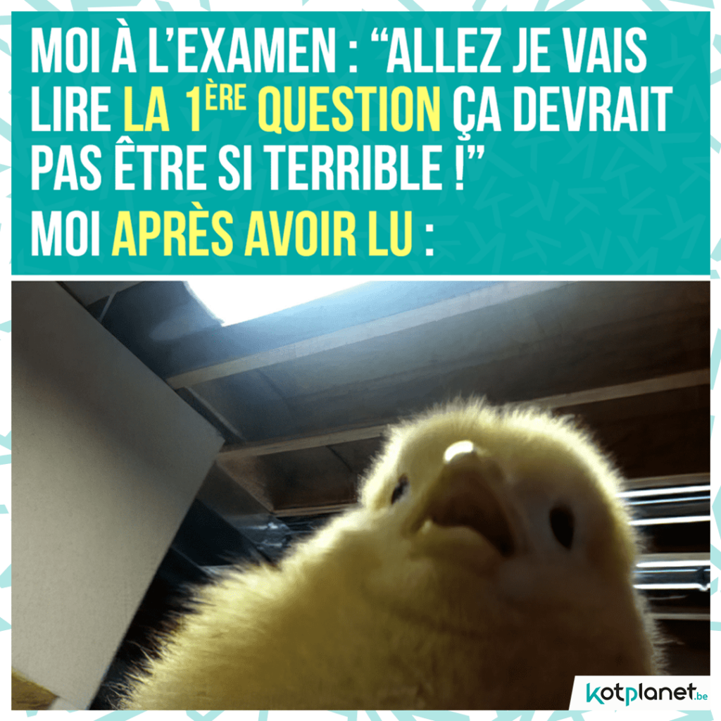 meme moi apres avoir lu premiere question poussin