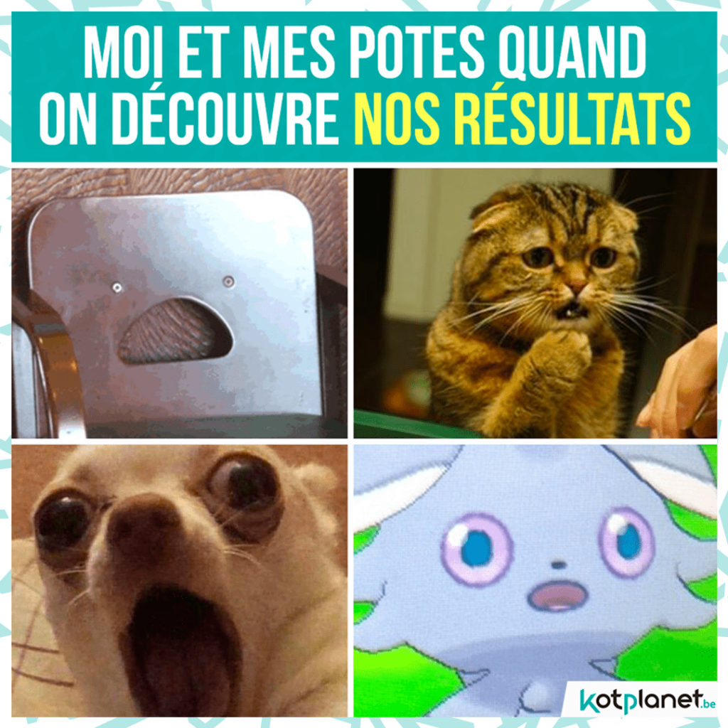 meme moi et potes decouvrant resultats