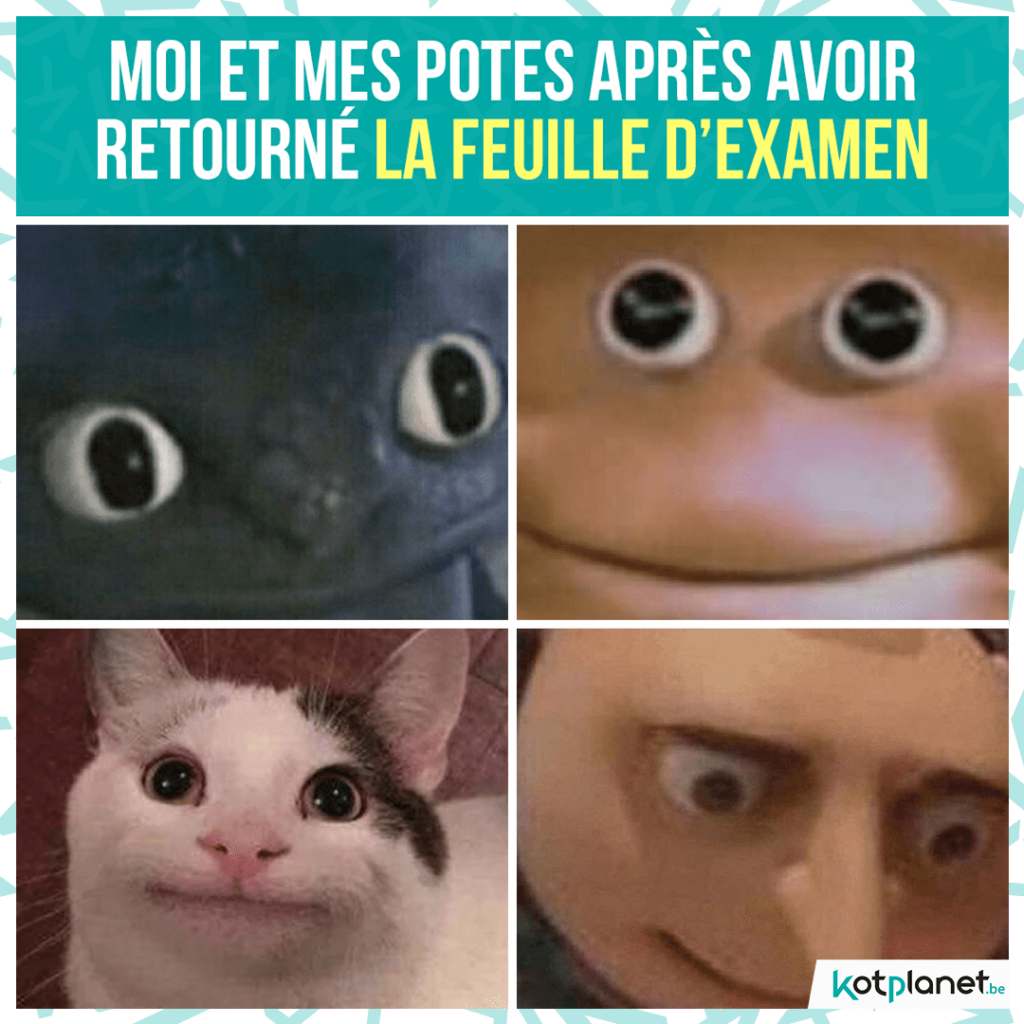 meme moi et potes retourne examen