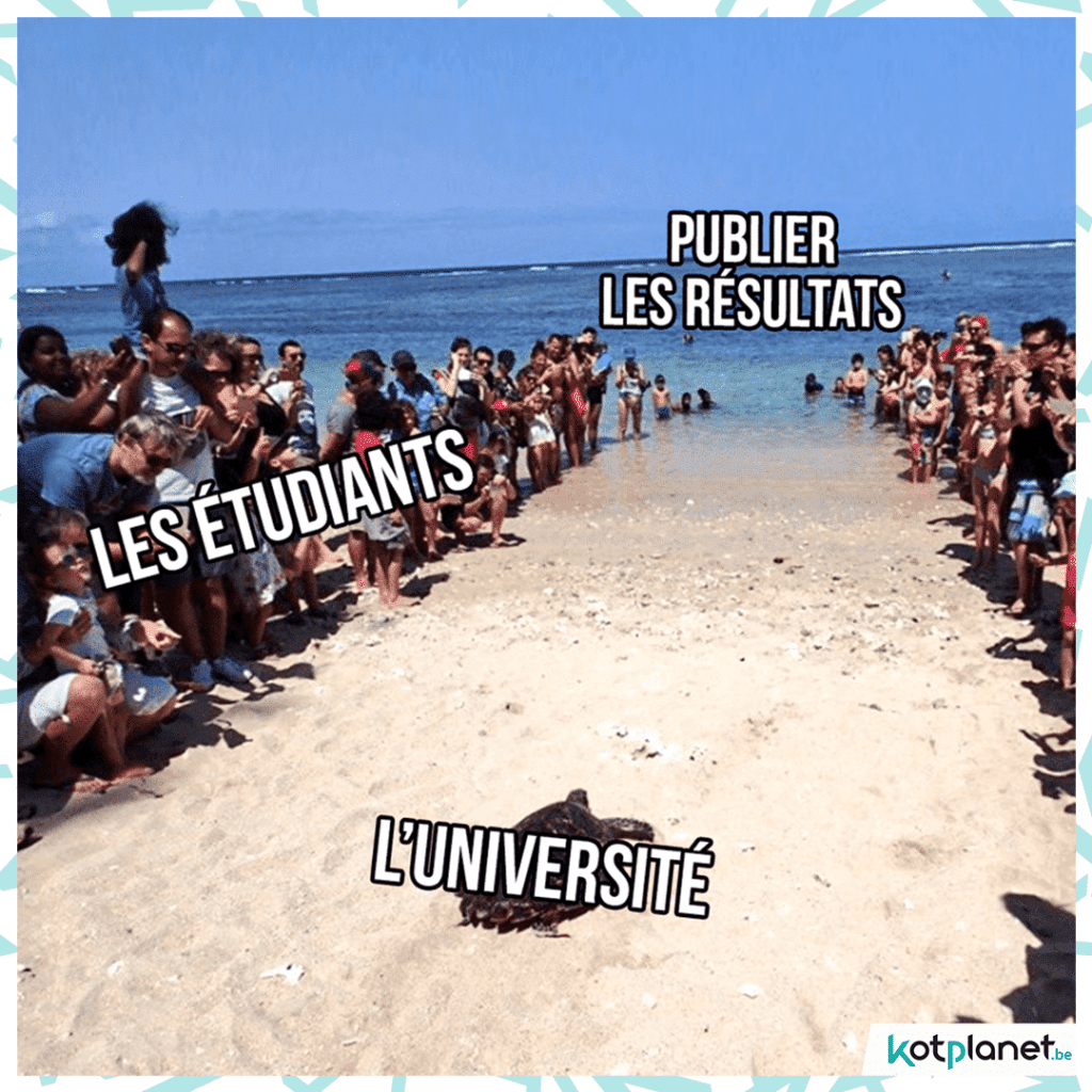 meme resultats tortue universite