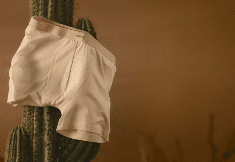 slibard - studeo - sauve la planète avec slibard