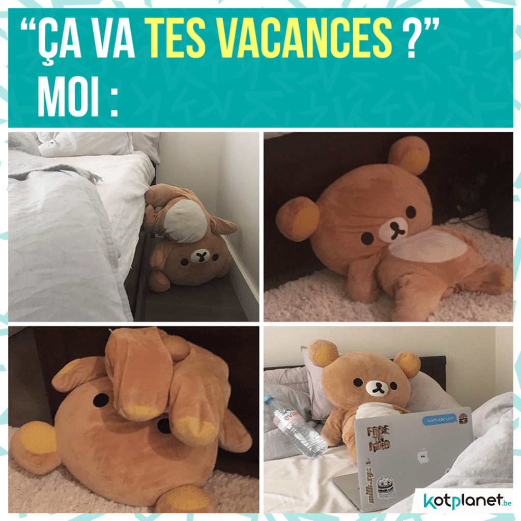 meme ca va vacances