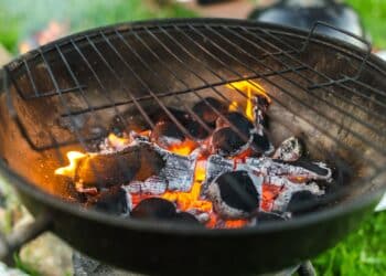 pexels-lukas - 4 memes qui vont te rappeler que tu n’es pas du tout un pro du barbecue