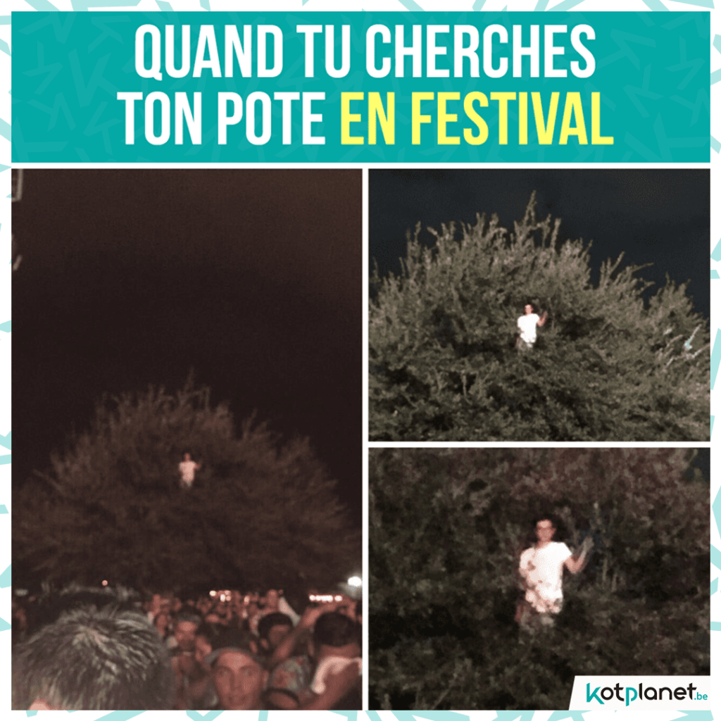 meme cherche pote festival
