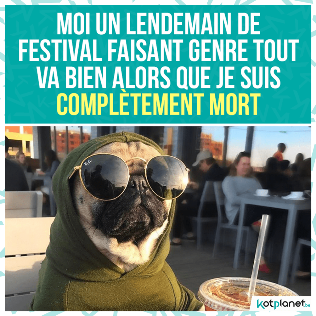 meme etat apres festival