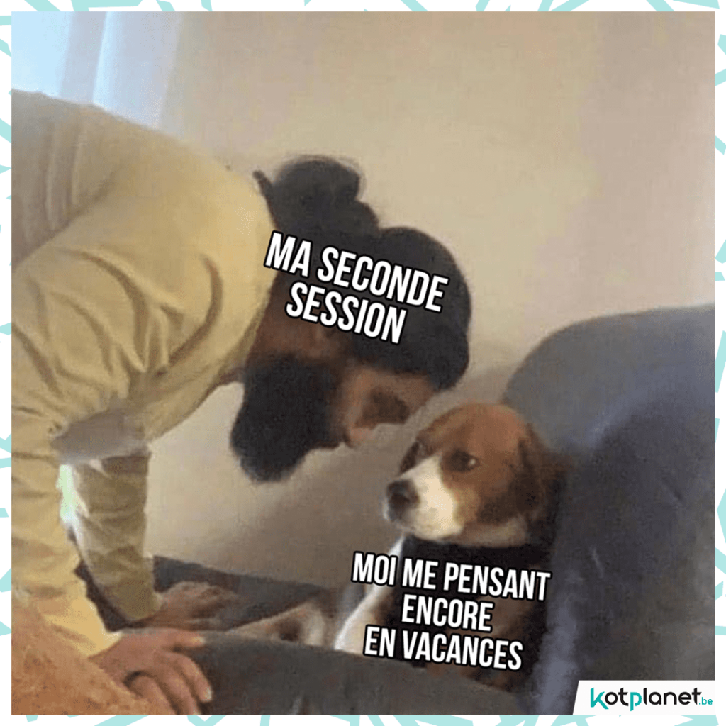 meme seconde session chien