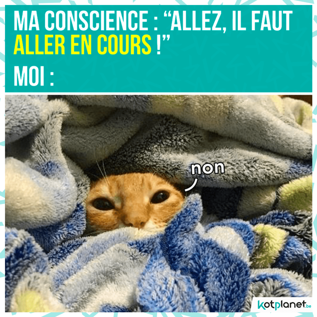 meme-conscience-se-lever