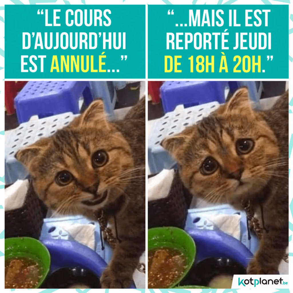 meme-cours-annule-mais-reporte