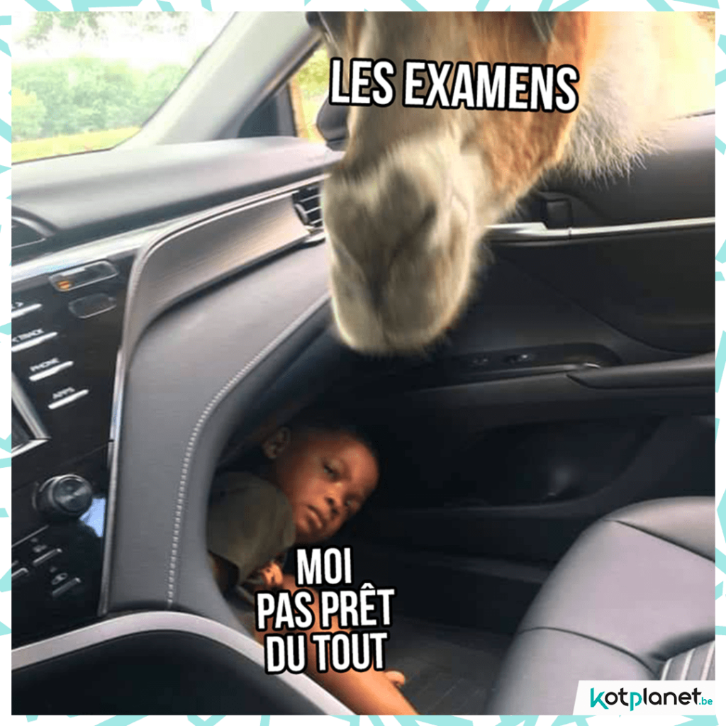 meme-examens-moi-pas-pret-du-tout