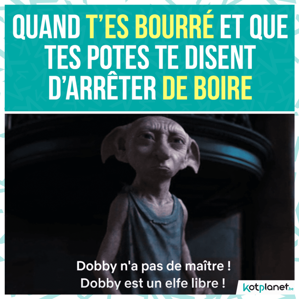 meme-dobby-elfe-libre