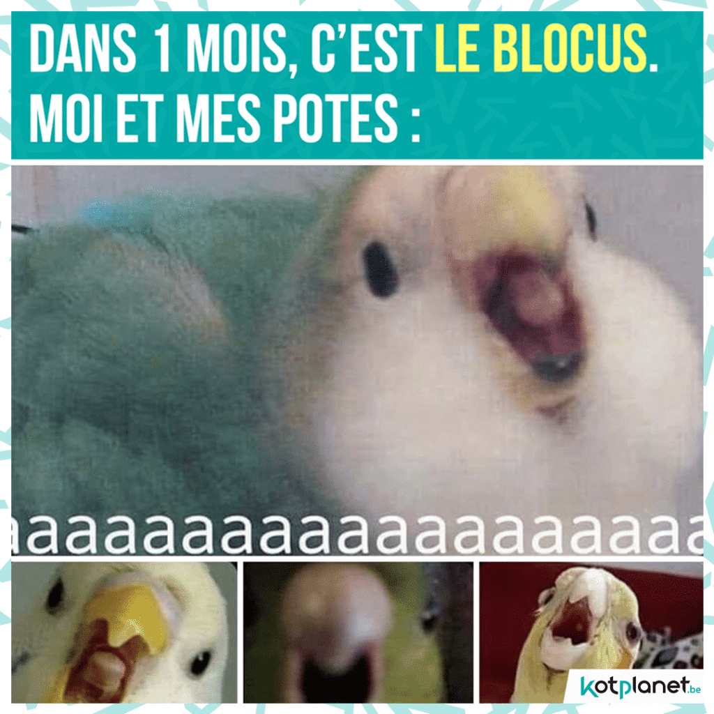 meme-1-mois-blocus